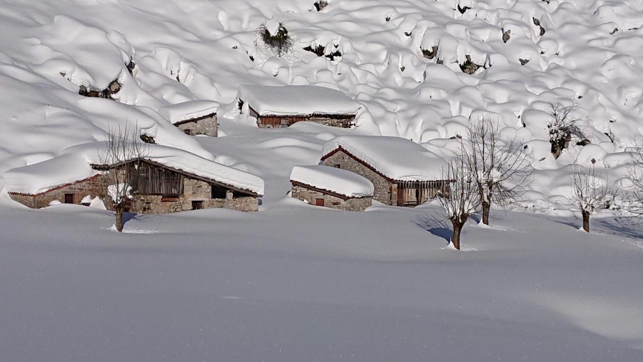 Casa Rural Las Fraguas Llanes, Gulpiyuri, Bufones ภายนอก รูปภาพ